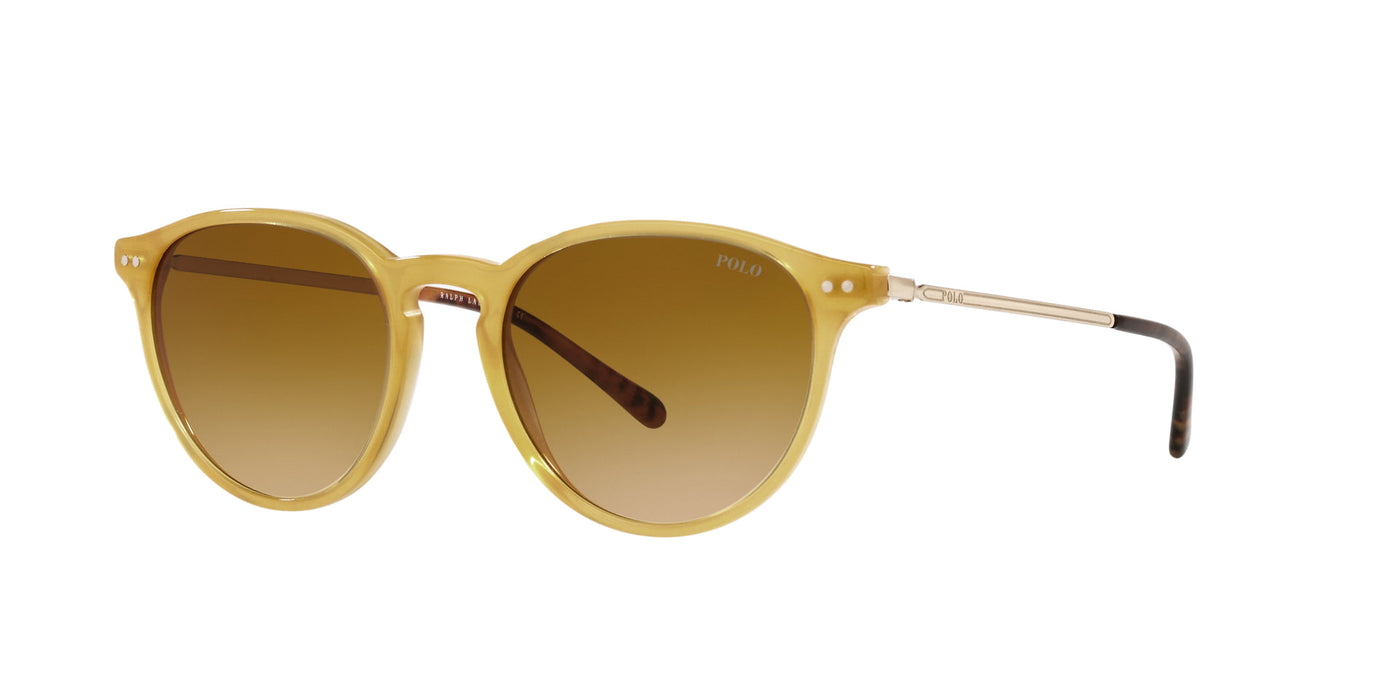 Polo Ralph Lauren PH4169 Shiny Honey/Gradient Amber #colour_shiny-honey-gradient-amber