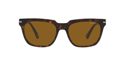 Prada SPR04Y Tortoise/Brown #colour_tortoise-brown