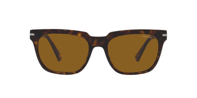 Prada SPR04Y Tortoise/Brown #colour_tortoise-brown