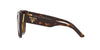 #colour_tortoise-polarised-dark-brown