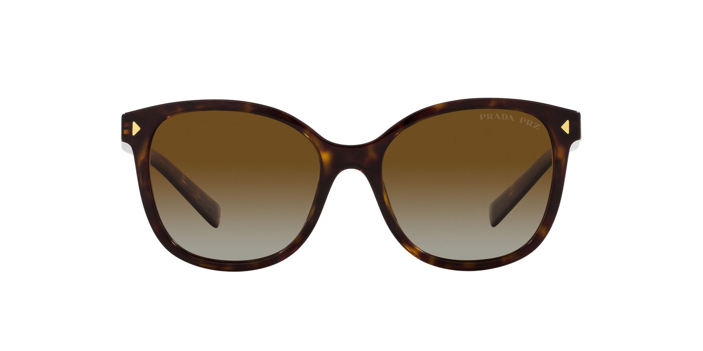 Prada SPR22Z Tortoise/Polarised Brown Gradient #colour_tortoise-polarised-brown-gradient