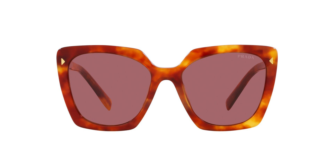 Prada SPR23Z Light Tortoise/Dark Violet #colour_light-tortoise-dark-violet