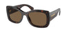 #colour_briar-tortoise-dark-brownized-polarised