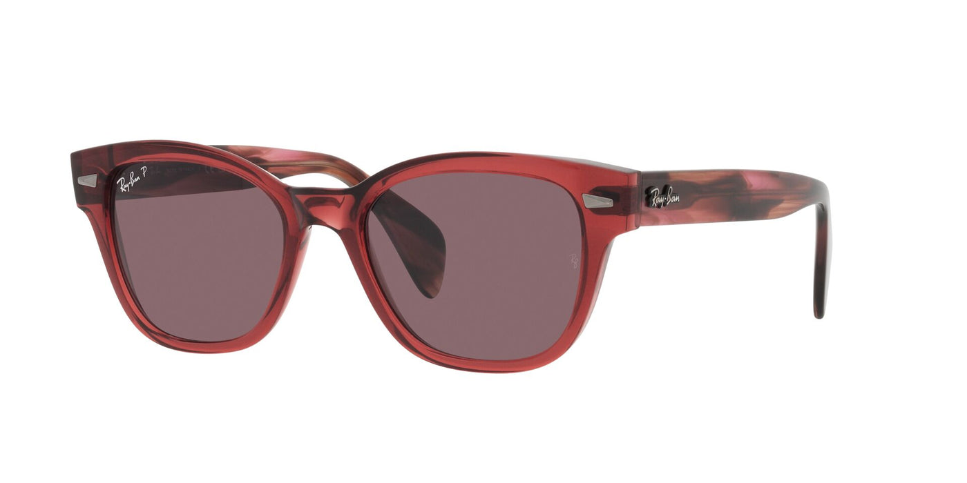 Ray-Ban RB0880S Square Sunglasses Maverick Wolf