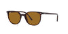 Ray-Ban Elliot RB2197 Havana/Brown #colour_havana-brown