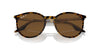 Ray-Ban RB2204 Havana On Transparent/Brown #colour_havana-on-transparent-brown