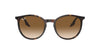 Ray-Ban RB2204 Havana/Light Brown #colour_havana-light-brown
