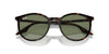 Ray-Ban RB2204 Havana-Clear/Green Photchromic #colour_havana-clear-green-photchromic