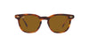 Ray-Ban Hawkeye RB2298 Striped Havana/Brown #colour_striped-havana-brown