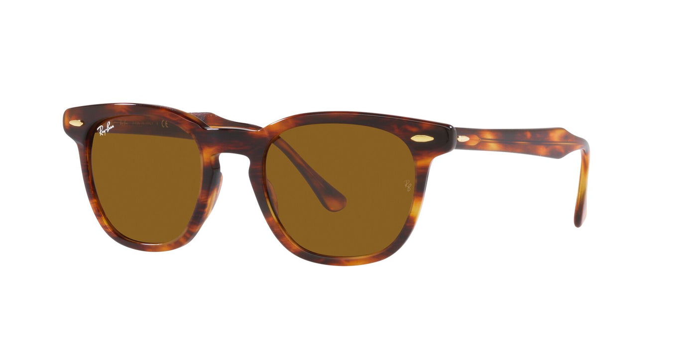 Ray-Ban Hawkeye RB2298 Striped Havana/Brown #colour_striped-havana-brown