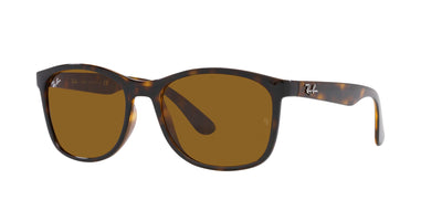 Ray-Ban RB4374 Havana/Brown #colour_havana-brown