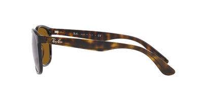 Ray-Ban RB4374 Havana/Brown #colour_havana-brown