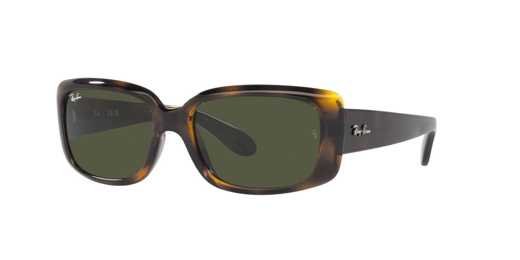 Ray-Ban RB4389 Havana/Green #colour_havana-green