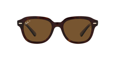 Ray-Ban Erik RB4398 Havana/Brown Polarised #colour_havana-brown-polarised