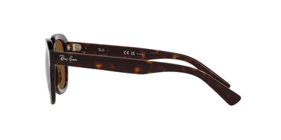 Ray-Ban Erik RB4398 Havana/Brown Polarised #colour_havana-brown-polarised