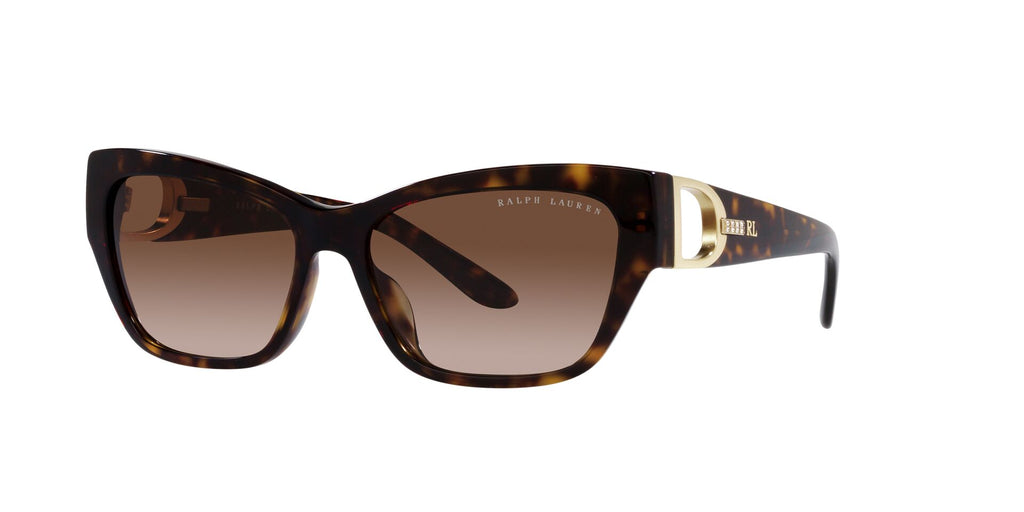 Ralph Lauren RL8206U Shiny Dark Havana/Brown Gradient #colour_shiny-dark-havana-brown-gradient