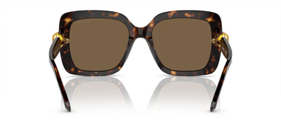 Swarovski SK6001 Havana/Dark Brown #colour_havana-dark-brown