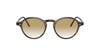Oliver Peoples Maxson OV5445U Dark-Tortoise #colour_dark-tortoise