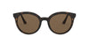 Prada SPR02X Dark Tortoise/Brown #colour_dark-tortoise-brown