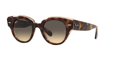 Ray-Ban Roundabout RB2192 Dark-Tortoise-Brown-Gradient #colour_dark-tortoise-brown-gradient