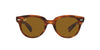 Ray-Ban Orion RB2199 Light Tortoise/Brown #colour_light-tortoise-brown