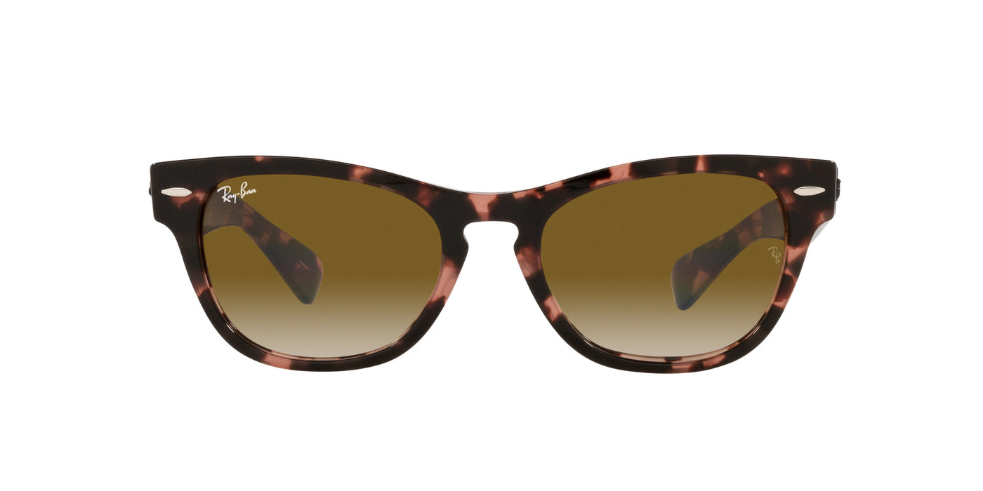 Ray-Ban Laramie RB2201 Pink/Brown Gradient #colour_pink-brown-gradient