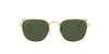 Ray-Ban Frank RB3857 Gold-Green #colour_gold-green