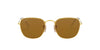 Ray-Ban Frank RB3857 Gold/Brown 1 #colour_gold-brown-1