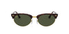 Ray-Ban Clubmaster Oval RB3946 Dark-Tortoise-Green #colour_dark-tortoise-green