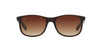 Ray-Ban Andy RB4202 Brown-Brown #colour_brown-brown