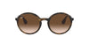 Ray-Ban RB4222 Dark-Tortoise-Brown #colour_dark-tortoise-brown