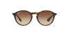 Ray-Ban RB4243 Dark Tortoise/Brown #colour_dark-tortoise-brown