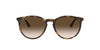 Ray-Ban RB4274 Light Tortoise/Brown #colour_light-tortoise-brown