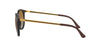 Ray-Ban RB4274 Dark Tortoise/Brown #colour_dark-tortoise-brown