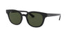 Ray-Ban RB4324 Black-Green #colour_black-green