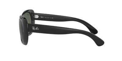 Ray-Ban RB4325 Black-Green #colour_black-green