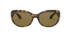 Ray-Ban RB4325 Dark Tortoise/Brown #colour_dark-tortoise-brown