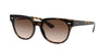 Ray-Ban Blaze Meteor RB4368N Dark Tortoise/Brown Gradient #colour_dark-tortoise-brown-gradient