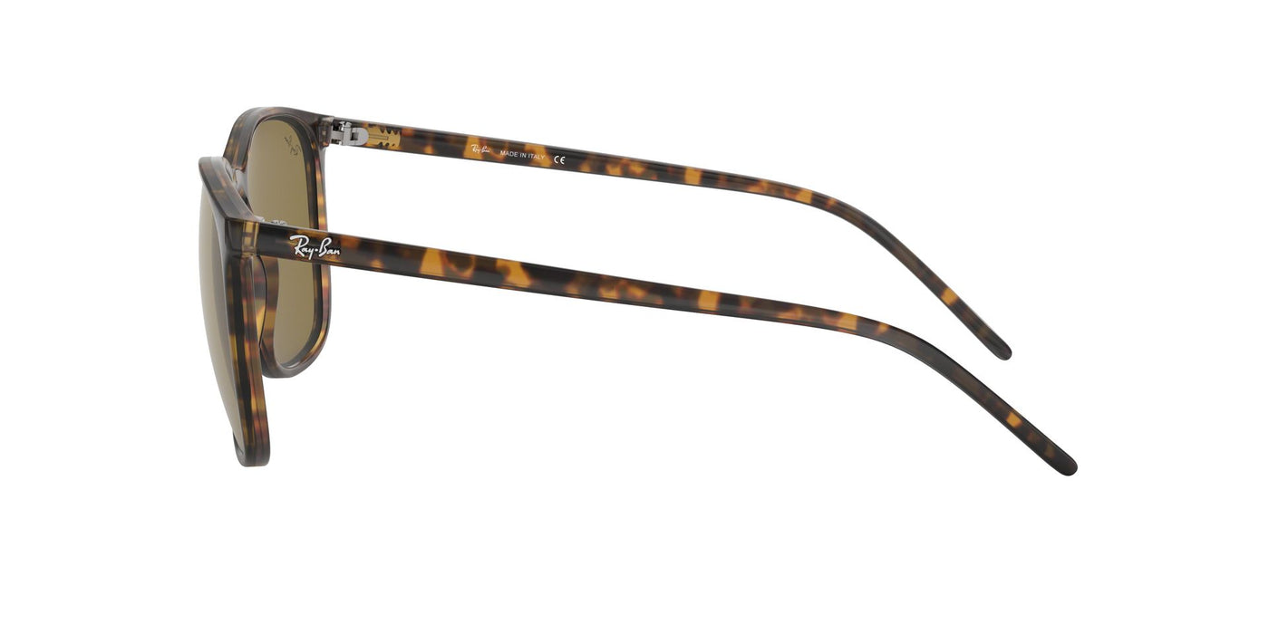 Ray-Ban RB4387 Dark-Tortoise-Brown #colour_dark-tortoise-brown