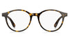 Tommy Hilfiger TH1703 Dark Tortoise #colour_dark-tortoise