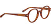 Serengeti Gervais Optic Shiny Havana #colour_shiny-havana