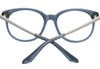 Serengeti Leelee Optic Shiny Transparent Dark Grey-Shiny Light Gold #colour_shiny-transparent-dark-grey-shiny-light-gold