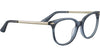 Serengeti Leelee Optic Shiny Transparent Dark Grey-Shiny Light Gold #colour_shiny-transparent-dark-grey-shiny-light-gold
