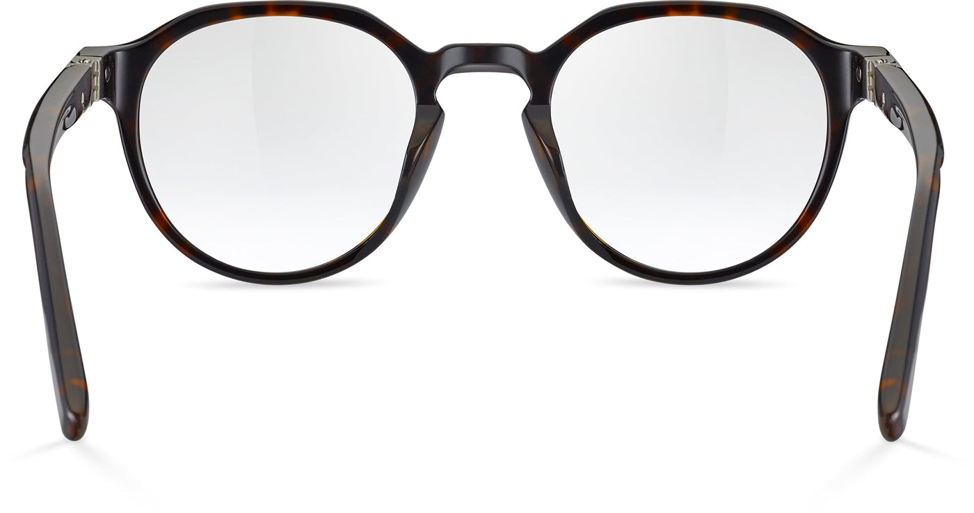 Bolle Jasp 01 Havana Shiny #colour_havana-shiny