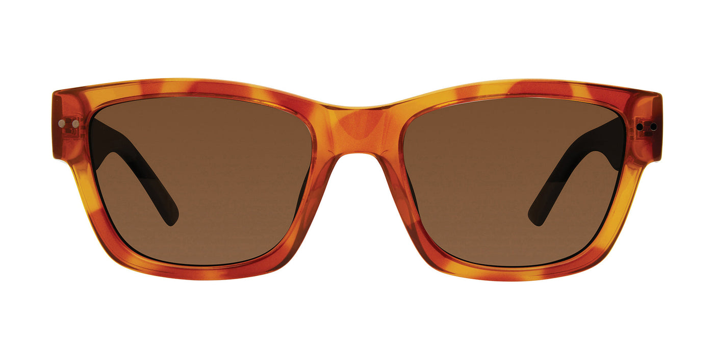 Prive Revaux The Alton/S Havana Honey/Bronze Polarised #colour_havana-honey-bronze-polarised