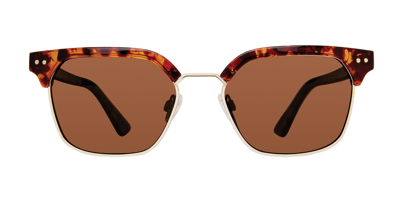 Prive Revaux Boat Day/S Havana/Bronze Polarised #colour_havana-bronze-polarised