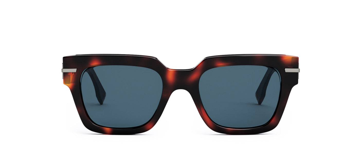 #colour_light-tortoise