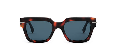 #colour_light-tortoise