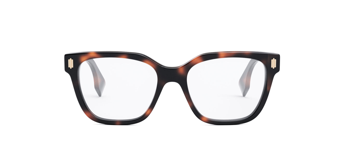 #colour_light-tortoise