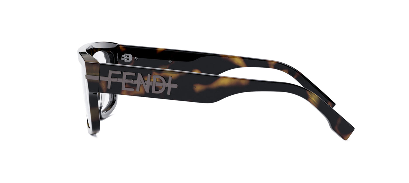 #colour_dark-tortoise